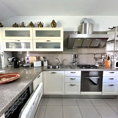 Traditional With Pool By Homing *